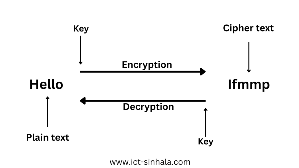 What is Cryptography Sinhala (What is Encryption/Decryption Sinhala)